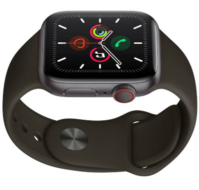 Apple Watch Series 5 Titanium 40mm Cellular watchOS 6.0, upgradable to 9.5 32GB 1GB RAM Apple S5 1.57 inches, 394 x 324 pixels  245 mAh ECG Certified, Ion X Strengthened Glass